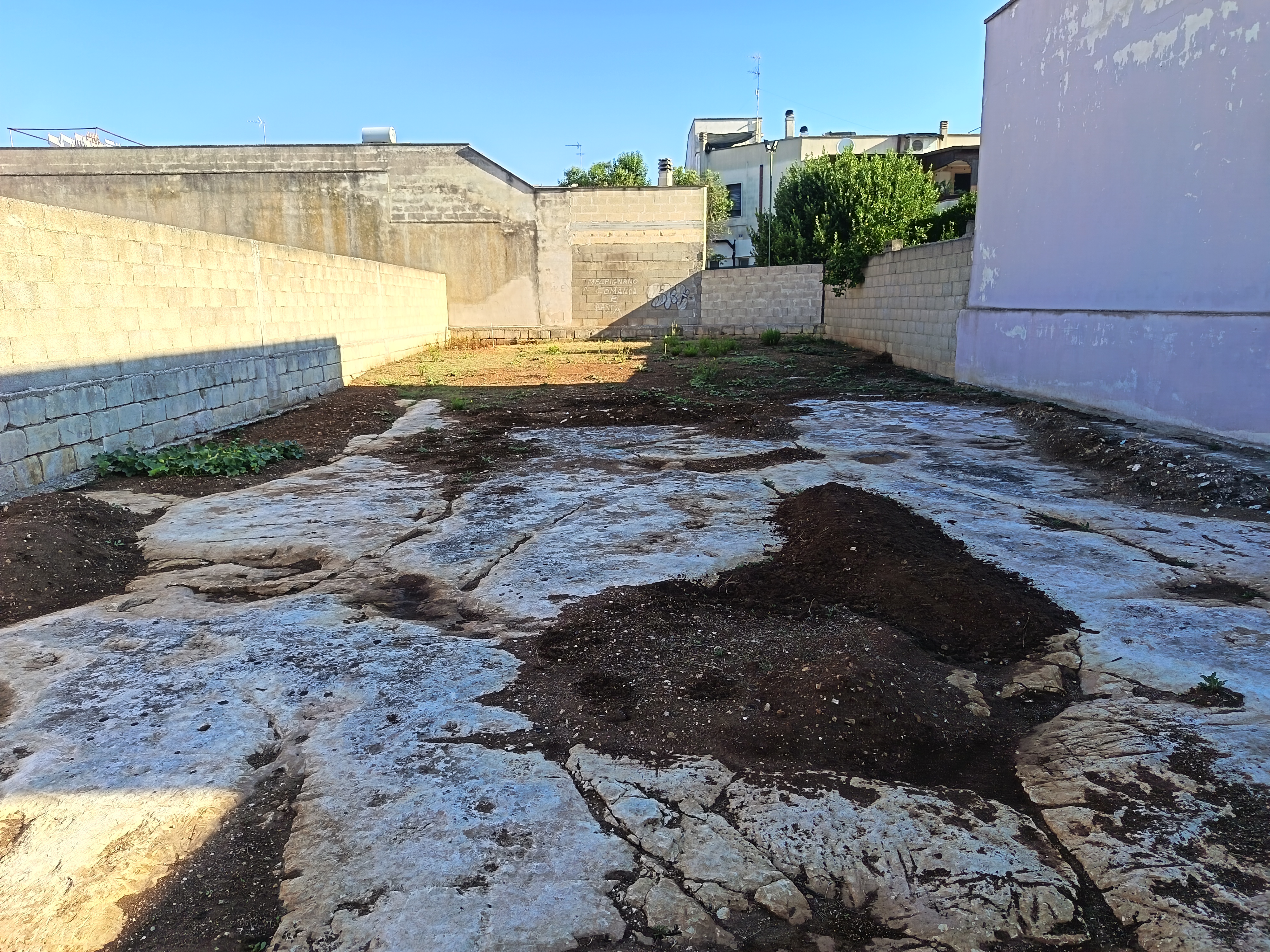 Terreno edificabile - Melpignano - T18